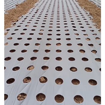 农用地膜农业薄膜葱洋葱专用黑色打孔地膜防草除草保湿银黑反光膜