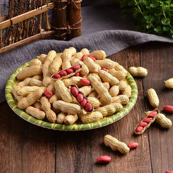 21年新货东北四粒红花生米带壳原味干炒红皮花生500g独立包装生四粒红