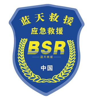 天南兄弟2022新款定制汽车磁性车贴蓝天救援车贴蓝豹应急道路救援队