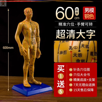 针灸穴位人体模型可扎针硅胶模具人中医经络针灸人模练习小黄皮人n48