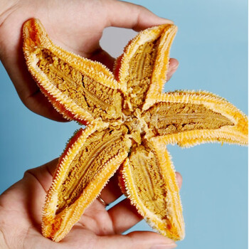 皓谦海星鲜活派大星新鲜熟冻速冻海星满籽海鲜五角星食用海星2斤装