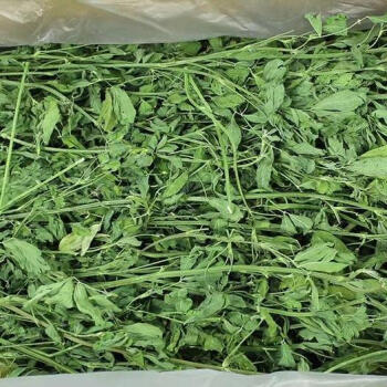 麦基乐**22年紫花苜蓿草干草幼兔宠物兔子龙猫荷兰猪牧草饲料苜宿草