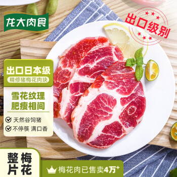 龙大肉食 烧烤猪梅花肉块500g 出口日本级 猪梅肉猪梅条肉 食材 猪肉生鲜