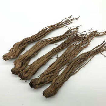 甘肃岷县当归条当归片100g500g克正宗当归整支当归小100g装