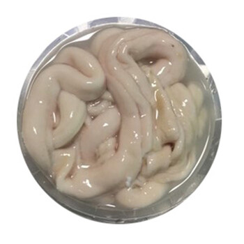 生牛肠牛肠1000g2斤装生牛肠涮火锅食材干锅牛肠食材