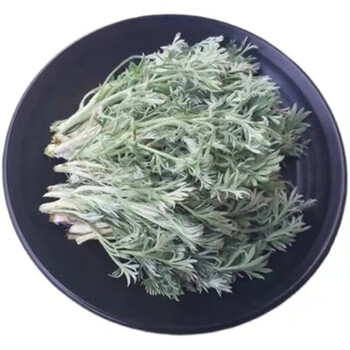 新鲜茵陈白蒿绵茵陈茶时令现摘现发货食用茵陈蒿250克