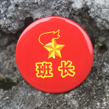 zhio儿童徽章胸针奖励胸牌别针小学生幼儿园胸章三好学生.