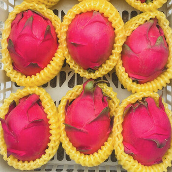 红心火龙果金都一号蜜宝肉当季热带大果新鲜水果净重5斤5斤精选大果68