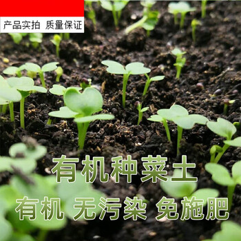 种植土种菜土壤家用通用型有机蔬菜肥料育苗种菜营养土有机种菜土5斤 图片价格品牌报价 京东