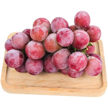 春光岛 妮娜皇后葡萄 新鲜高端水果 无籽甜玫瑰红提礼盒装 500g