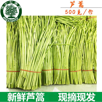 芦蒿新鲜蔬菜去泥去叶净菜500克篱蒿鲜嫩泥蒿【图片 价格 品牌 报价】-京东