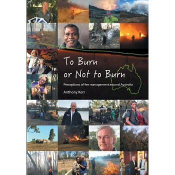 To Burn or Not to Burn kindle格式下载