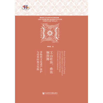 文山壮族、彝族铜鼓舞:非物质文化遗产保护与传承的地方实践pdf/doc/txt格式电子书下载