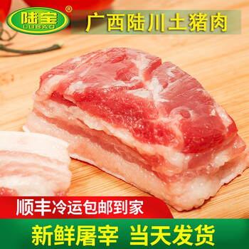 陆宝广西陆川土猪雪花肉生鲜烧烤炒菜饺子馅冷冻猪肉500g当天发货
