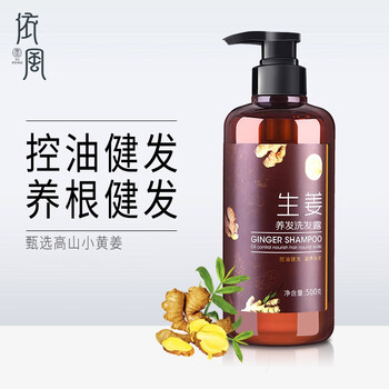 依风 Yifeng 生姜洗发水套装控油健发平衡洗发露洗头膏男女士家庭装生姜洗发水500g 图片价格品牌报价 京东