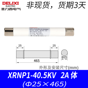 德力西电气（DELIXI ELECTRIC）德力西熔断管 XRNP1-12 高分断能力高压限流熔断器12KV 0.5-1A 熔芯XRNP1-40.5KV 2A 体 (25×