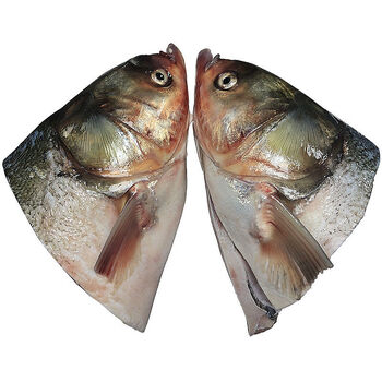 5斤白鲢鱼头一只(净重2斤)