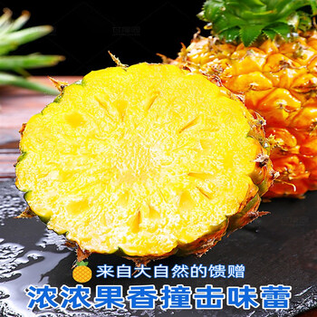 云南香水小菠萝新鲜水果10斤当季手撕粉凤梨金钻迷你小波罗5 2斤 单果