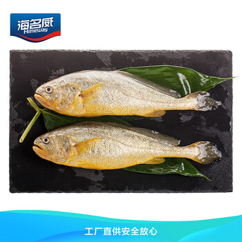 海名威 冷冻黄花鱼700g/2条 宁德大黄鱼地标认证 海鲜海鱼 生鲜鱼类