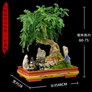 顺丰发货 大型澳洲杉山水盆景客厅办公室风水盆栽老树桩南洋杉绿植四季常青澳洲杉大型山水盆景 黄盆 图片价格品牌报价 京东