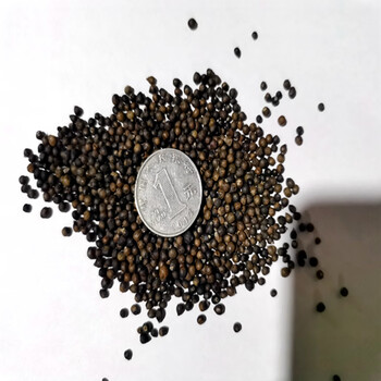 鱼腥草种子折耳根种籽鱼腥草种苗云贵川折耳根种根种苗 200粒种子肥料