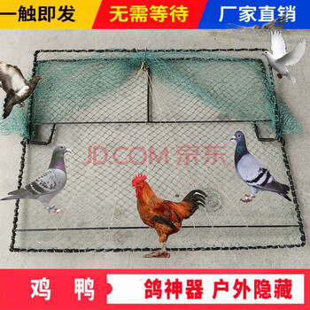 骊嘉旭杉斯自动抓鸡鸽子神器只进不出自动收网户外天落笼尼龙网鸽笼鸟
