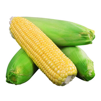 云南水果玉米生鲜蔬菜新鲜甜嫩水果玉米棒鲜玉米甜脆爆浆精选9斤