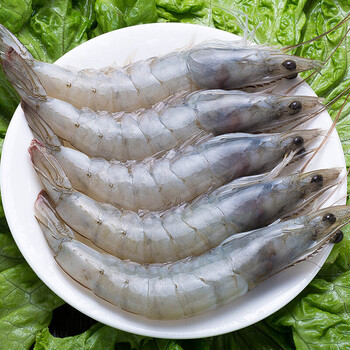 青岛对虾 海捕大虾鲜虾鲜活海鲜水产青虾对虾白虾基围虾大海虾冻活虾q