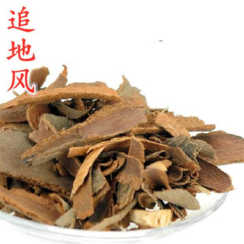 追地风追地枫地枫皮钻地风中药材100克