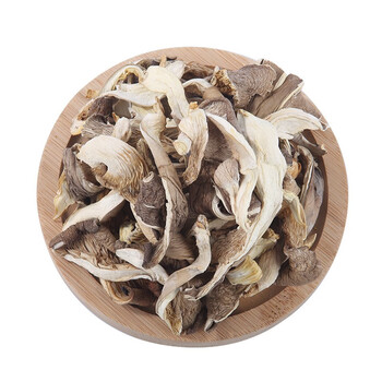 平菇干货平菇条农家小姬菇凤尾菇蘑菇干平菇250g