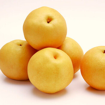 精选生鲜山东丰水梨甜水当季批发现摘现发水果5斤小果