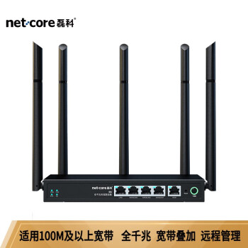 磊科（netcore） B6全千兆企业级无线路由器 多WAN口 5G双频1200M家用高速穿墙铁壳