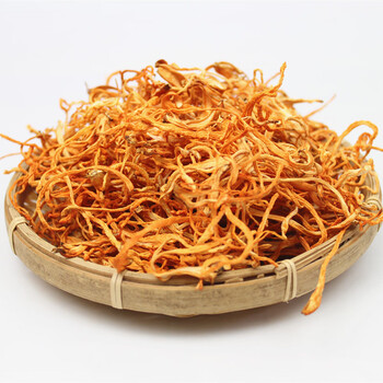 虫草花500g虫草花干虫草花北虫草孢子头云南特产菌干货蛹虫草