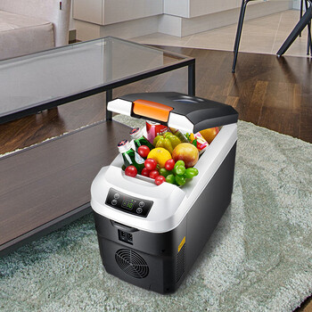 先科 车载冰箱 药物冷藏盒 旅行药品恒温冷藏箱(一组电池 11l数显黑