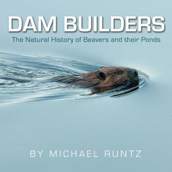 Dam Builders: The Natural History of Beavers and