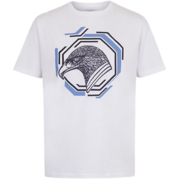 stefano ricci史蒂芬男装短袖t恤圆领套头衫修身时尚棉质上衣刺绣八角