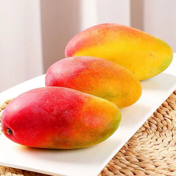 一整箱批发孕妇时令当季大芒果新鲜贵妃普通箱带箱9110斤大果香甜多汁