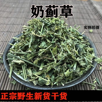 奶蓟草乳蓟草新货500g天然 水飞蓟草