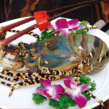 花龙大龙虾锦绣龙虾彩虹龙虾青龙高端海鲜过年过节礼品