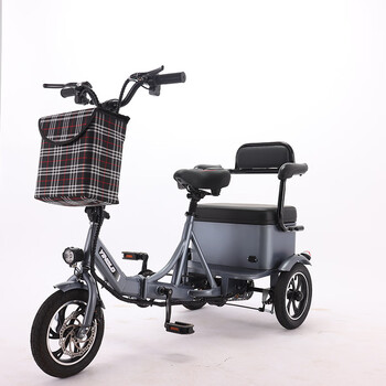 晏山折叠电动三轮车脚踏两用助力自行车双人家用小型迷你双坐灰色整车