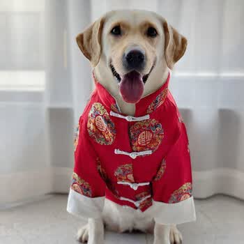大型犬喜庆新年衣服中国风唐装衣服大狗衣服拉布拉多棉衣 红色福龙袍