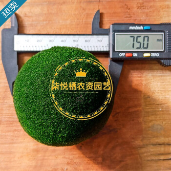 柒悦栖海藻球微景观生态瓶鱼缸室内桌面水培创意迷你植物水生绿球藻