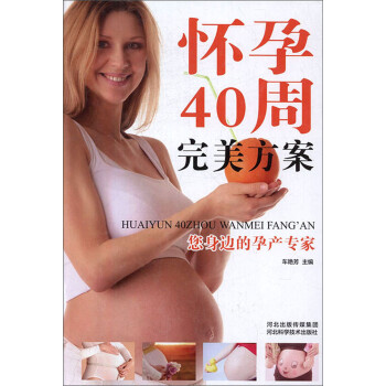 怀孕40周完美方案 kindle格式下载