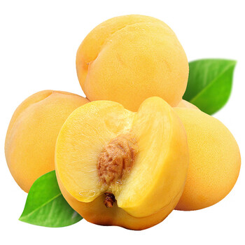 桃小蒙【预售】蒙阴黄桃 国产鲜果蜜桃毛桃新鲜水果鲜食 5斤装(净重4.