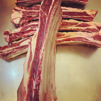 悦君心 内蒙古呼伦贝尔草原 黄膘牛排 新鲜原切草原黄牛肋排2500g 5斤