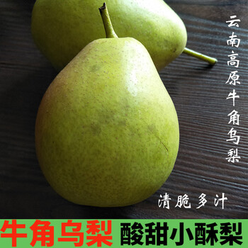 云南牛角乌梨38斤装云南红梨火把梨孕妇水果酸甜宝宝梨小酥梨水果牛角