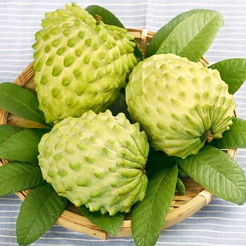 释迦果 新鲜水果云南番荔枝 热带 佛头凤梨释迦水果 1500g 中果3-5个