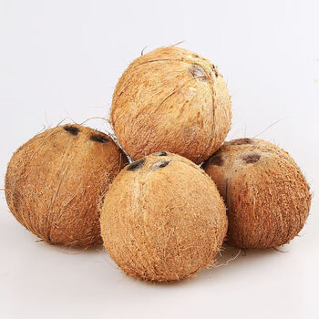 海南老椰子新鲜去皮现摘特产孕妇煲汤当季水果毛椰子批发整箱 中(单个