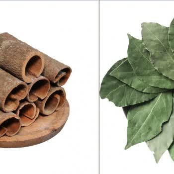 正宗广西头茬新货香叶桂皮八角调味品卤料炖肉料炒菜调料香叶批发精品