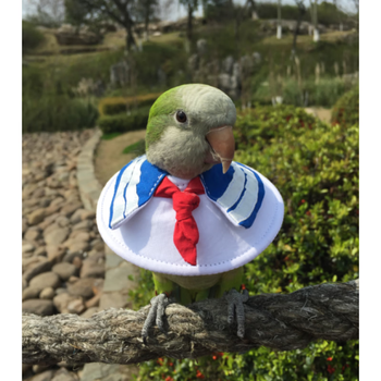 鹦鹉伊丽莎白圈 鹦鹉伊丽莎白圈防鸟咬伤口保护圈咬毛圈围脖圈脖套 格